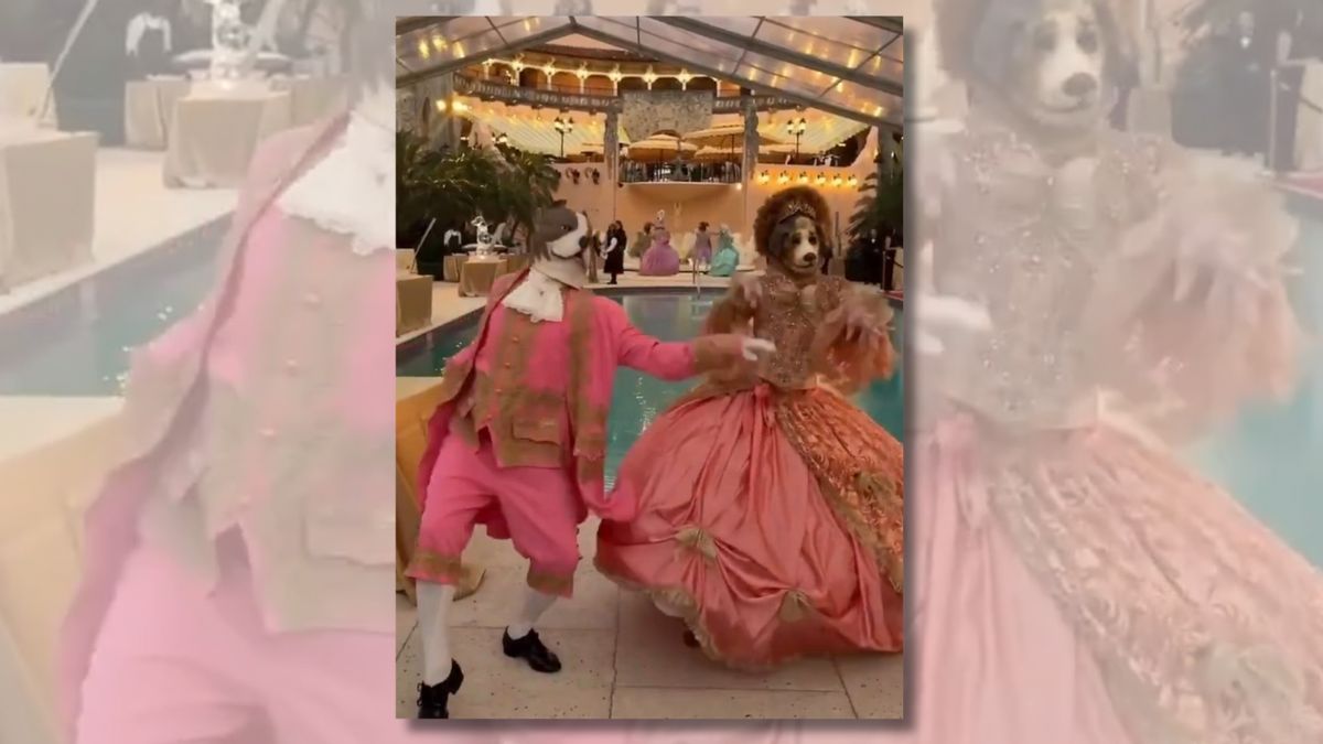 Mar-a-Lago gala featured dog masks and Marie Antoinette-style costumes