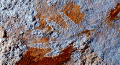 Oldest cave painting of red claw hand  could rewrite human creativity timeline