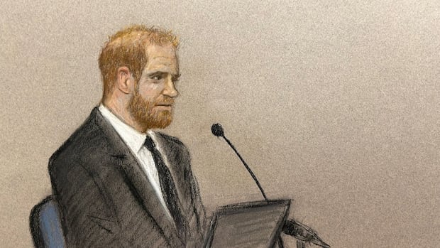 Daily Mail ‘made my wife’s life an absolute misery,’ Prince Harry tells court