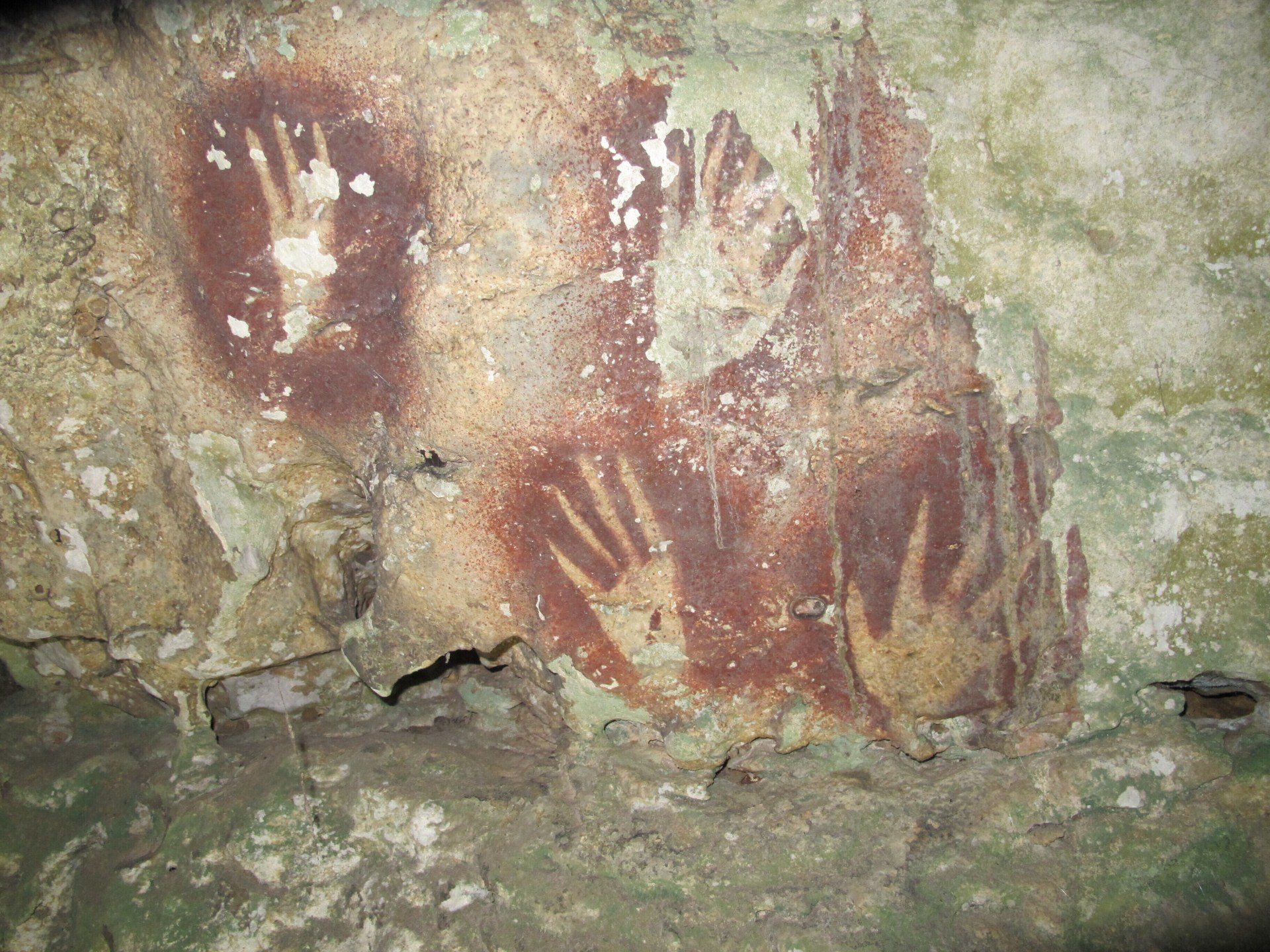 World’s oldest cave art discovered in Indonesia’s Muna island