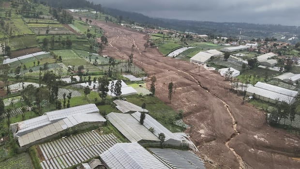 At least 8 dead, dozens missing in Indonesian landslide