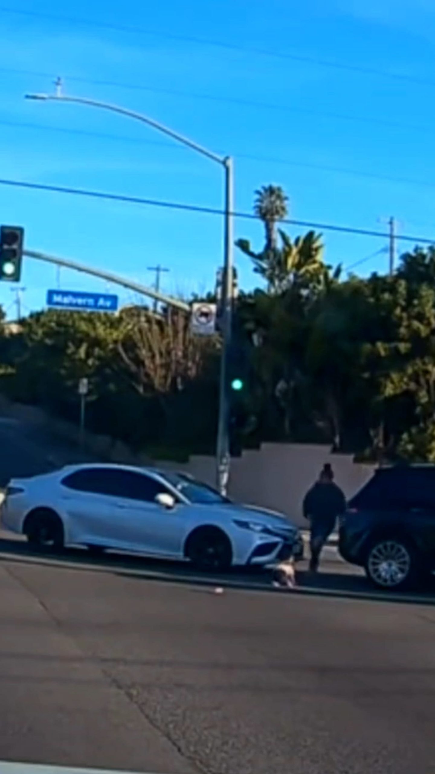 California child falls from moving car, mother arrested