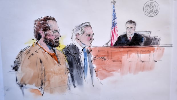 What happens now that Ryan Wedding has pleaded not guilty?