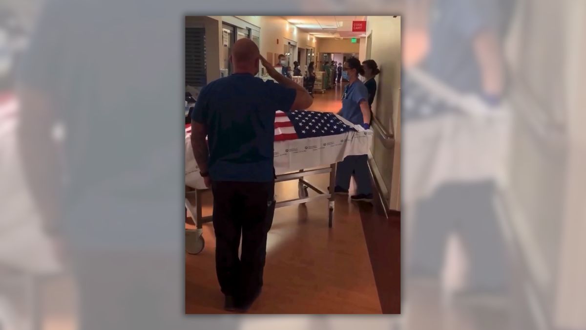 Does this video show Alex Pretti receiving ‘honor walk’ at Minneapolis VA hospital he worked at?