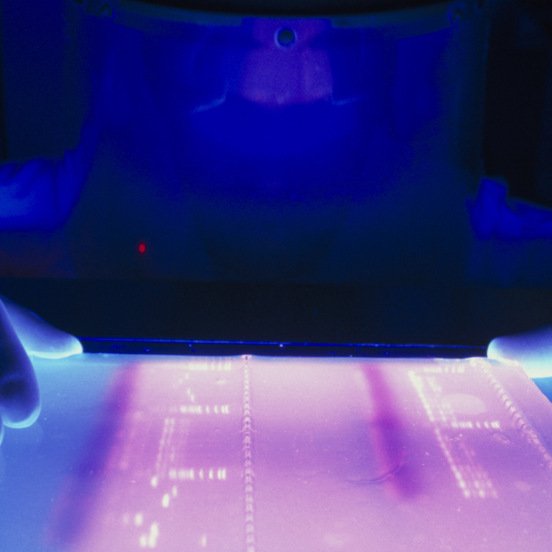 With AlphaGenome, Researchers Are Using A.I. to Decode the Human Blueprint