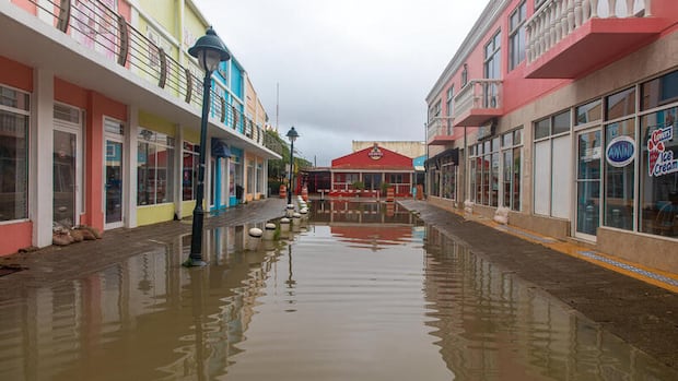 Netherlands must cut CO2 to protect Caribbean island of Bonaire, court rules