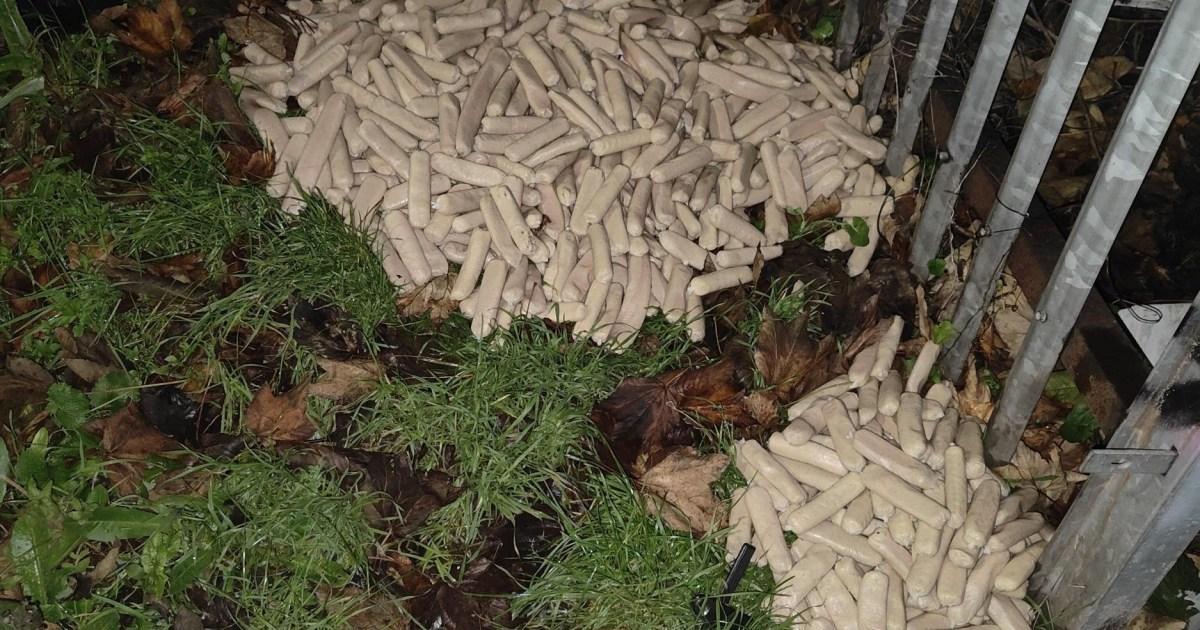 Sausage bandit dumps massive pile of wieners on Bristol footpath