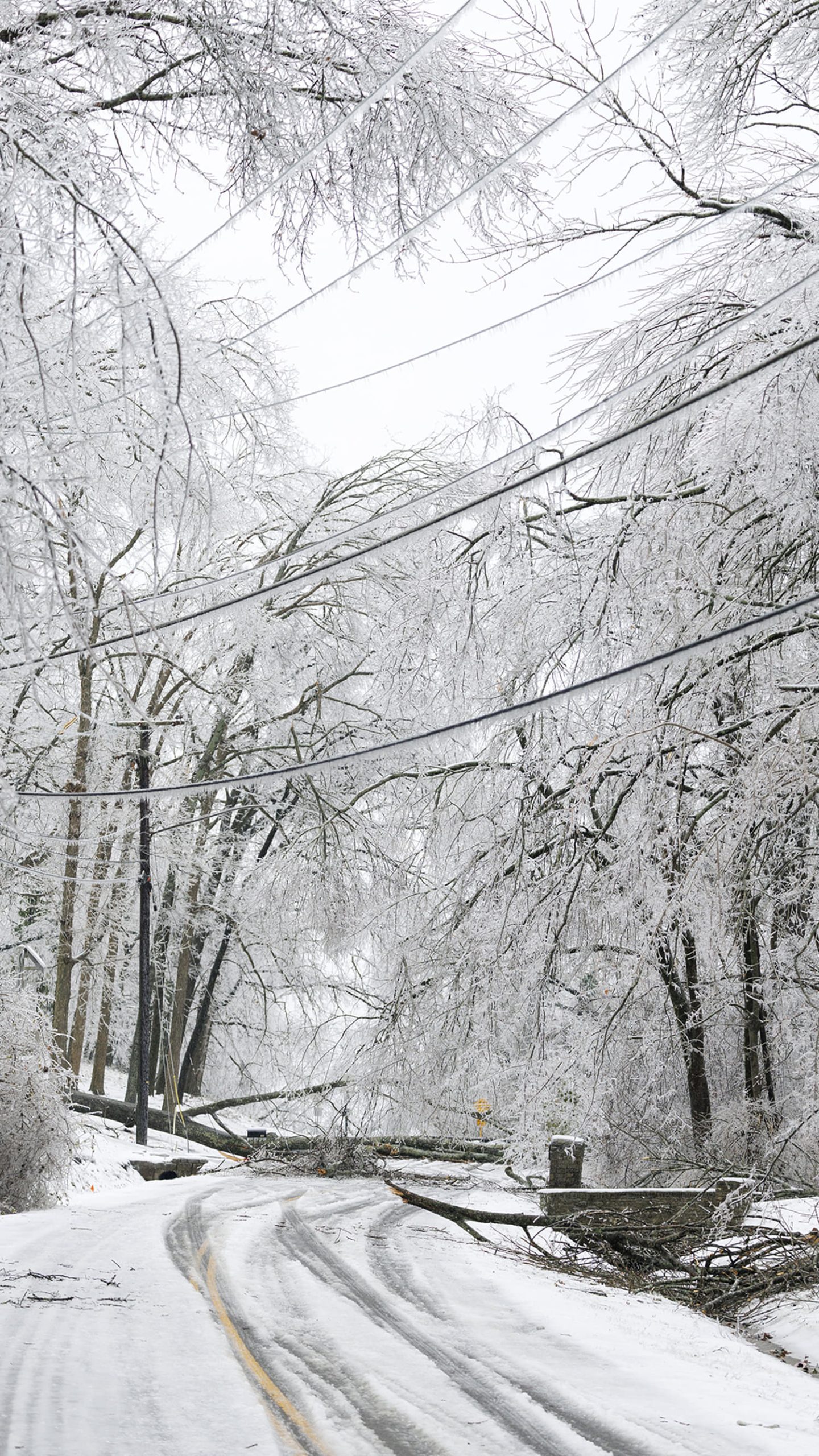Winter freeze grips part of the country