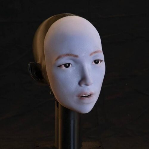 Research roundup: 6 cool stories we almost missed