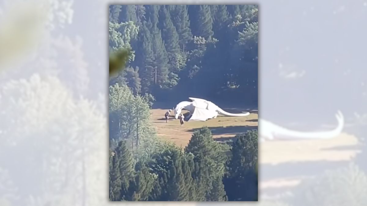 Video of white dragon in China is AI-generated fantasy