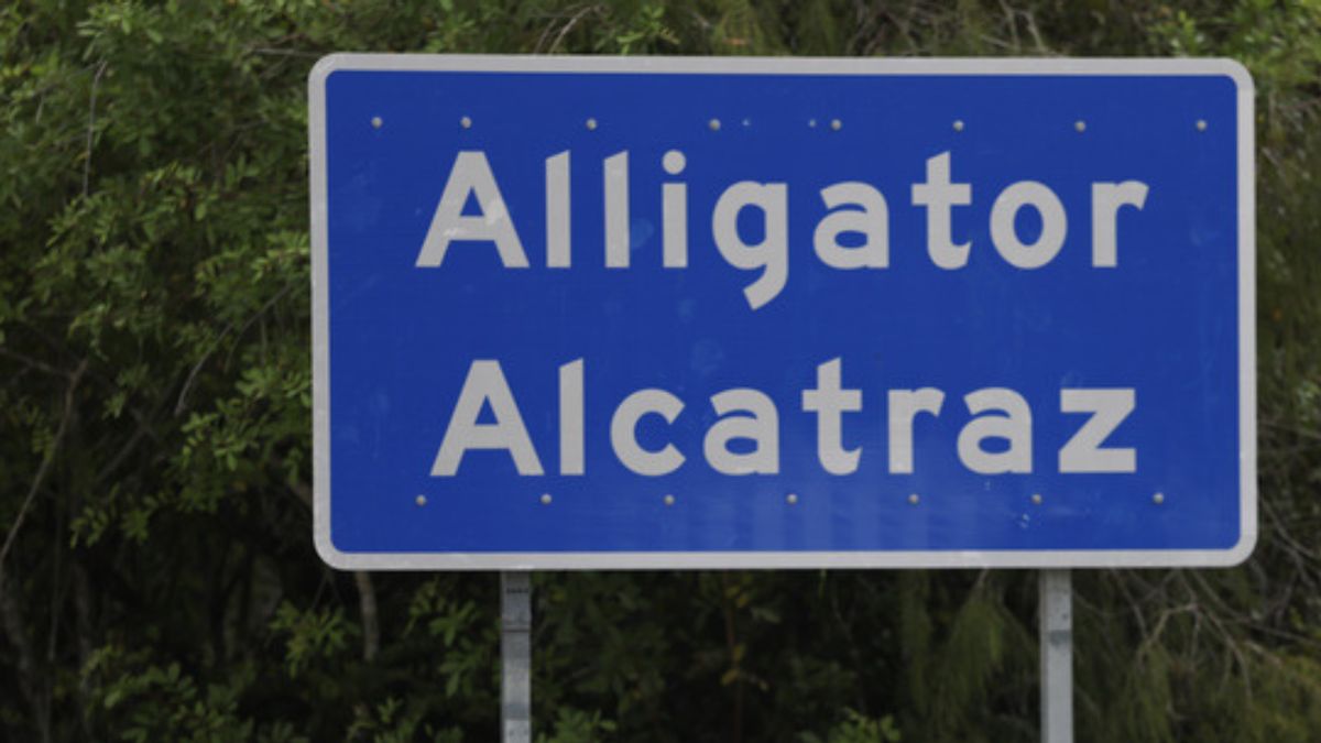 Yes, investigation claimed at least 1,200 detainees ‘dropped off the grid’ from ‘Alligator Alcatraz’