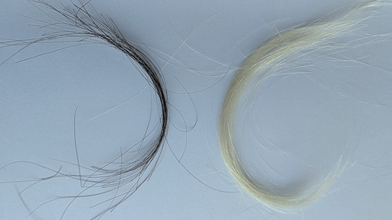 Preserved hair reveals just how bad lead exposure was in the 20th century
