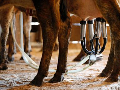 A newborn’s death likely linked to the mom drinking raw milk while pregnant