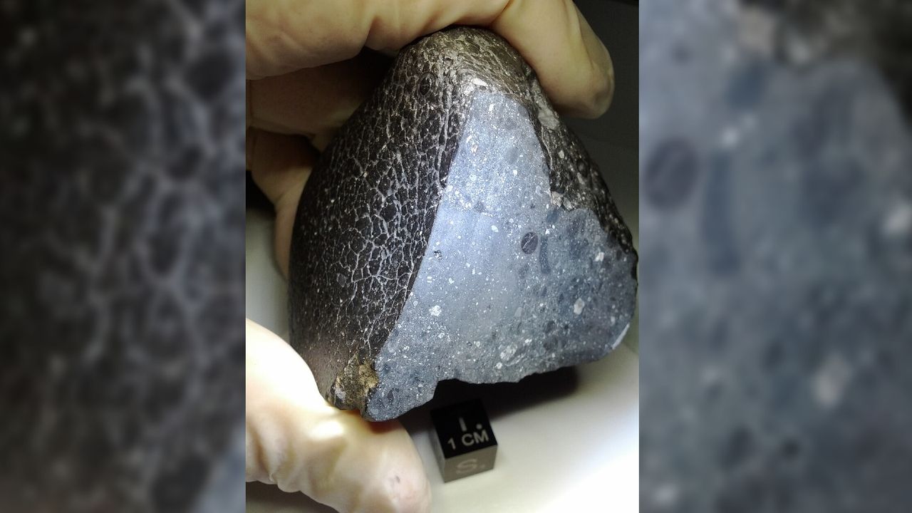 Martian meteorite that fell to Earth is full of ancient water, new scans reveal