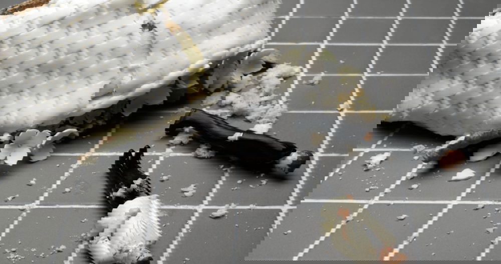 Vindictive man allegedly called ICE on ex-boyfriend & lied about him selling meth