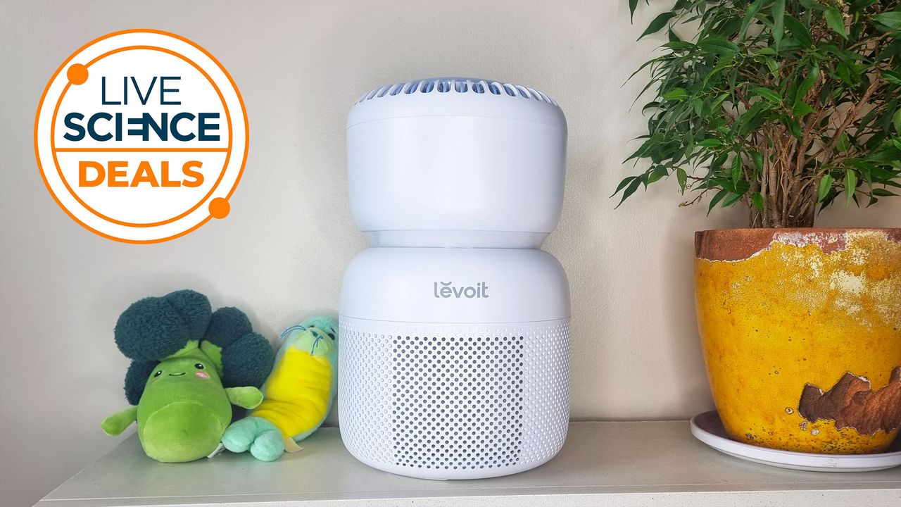 The best toddler-friendly air purifier we have tested is now at its lowest-ever price