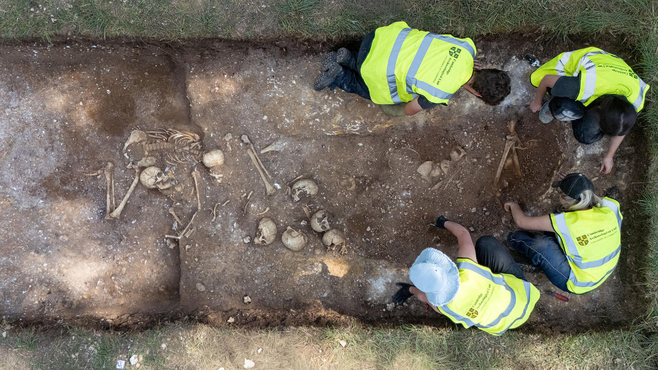 Viking Age mass grave holds mysterious mix of dismembered human remains and complete skeletons, including a ‘giant’ who’d had brain surgery