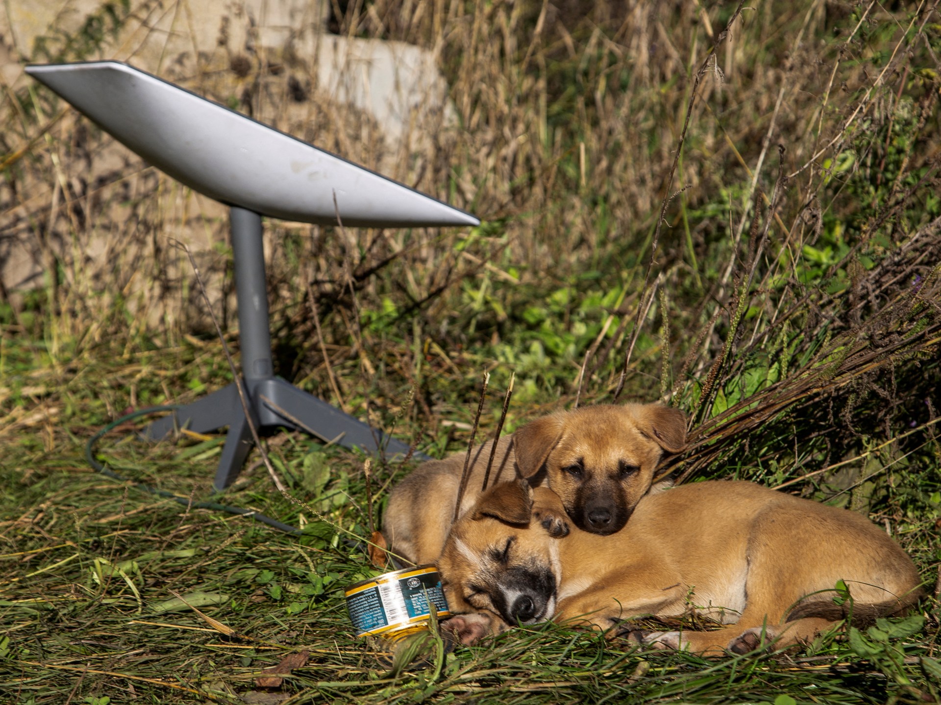 How does the cutoff of Starlink terminals affect Russia’s moves in Ukraine?