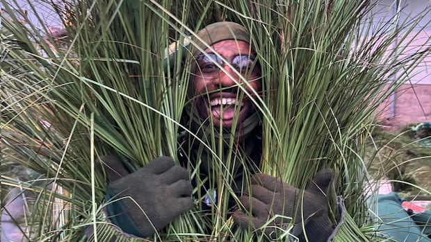 What it was like being a bushel of grass in Bad Bunny’s Super Bowl ‘field of dreams’