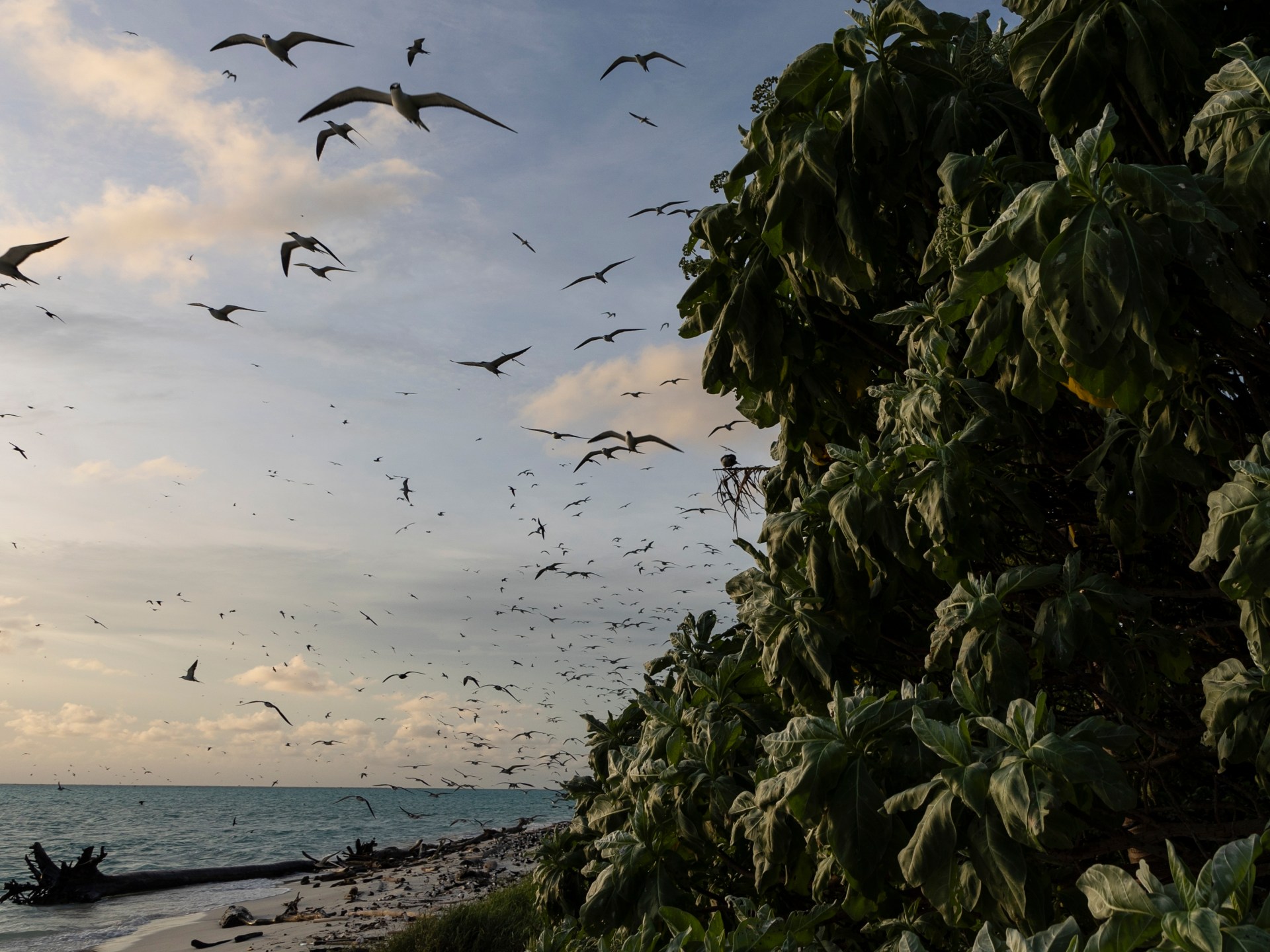 US sanctions officials from Marshall Islands and Palau, citing China fears