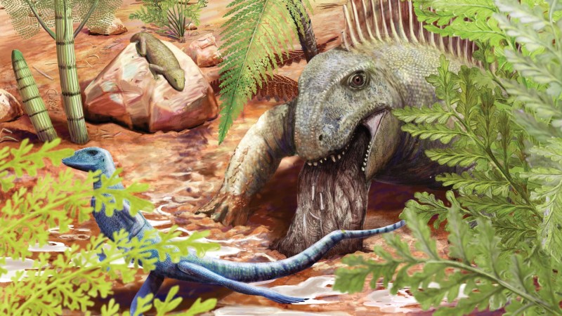 Fossilized vomit reveals 290-million-year-old predator’s diet