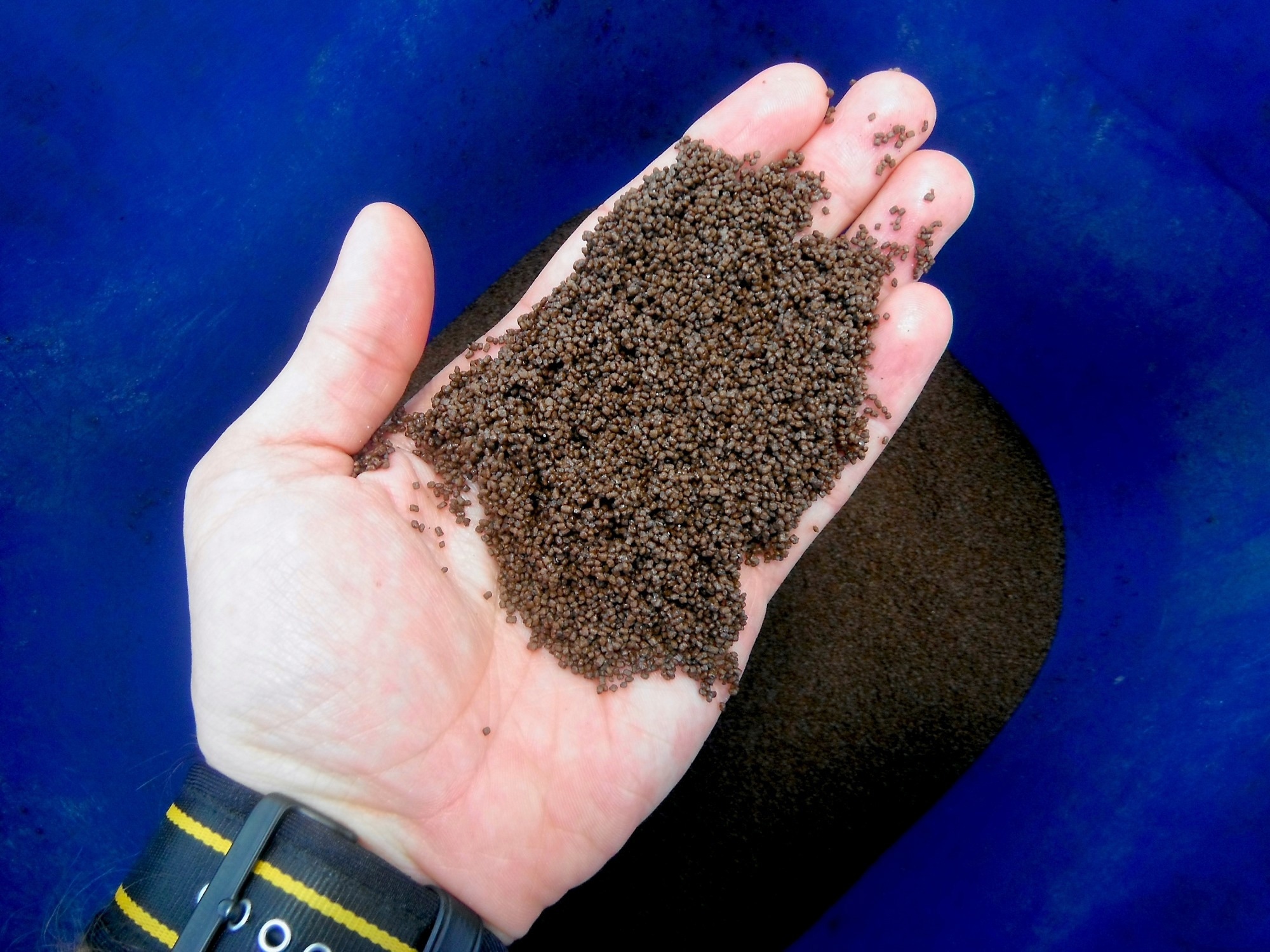 Can aquaculture reduce global malnutrition or is nutrient trade widening inequality?