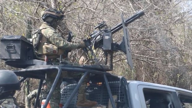 Canadian mining company employees worked amid gunfire, Mexican cartel checkpoints, says family member