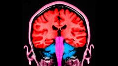 Can a pulse of electricity to the brain make us less selfish?