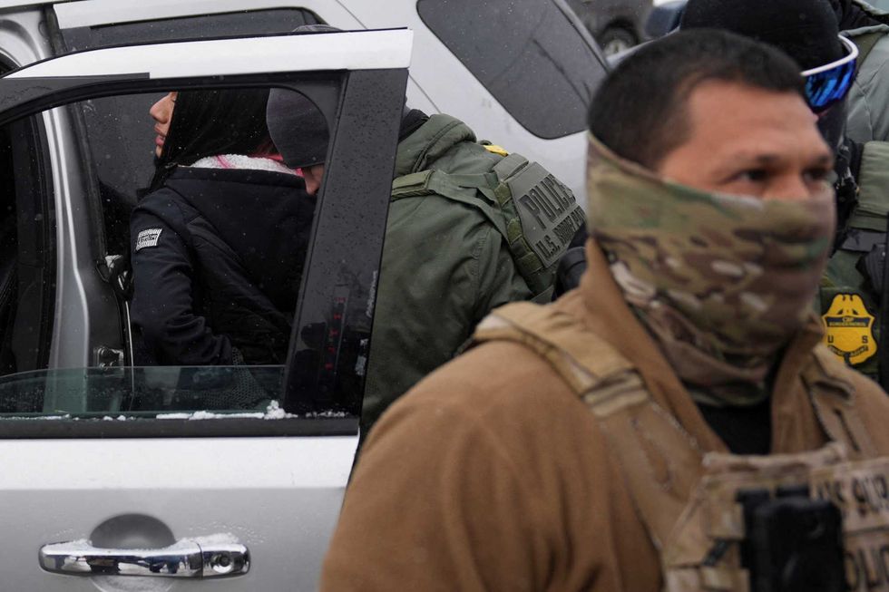 ICE’s ‘insidious’ new program leaves security expert rattled: ‘Cause for real concern’