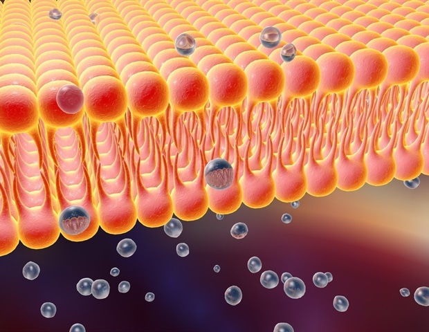 Whole-heart mapping captures arrhythmias in a single heartbeat