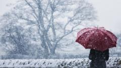 How do cold weather health alerts work?