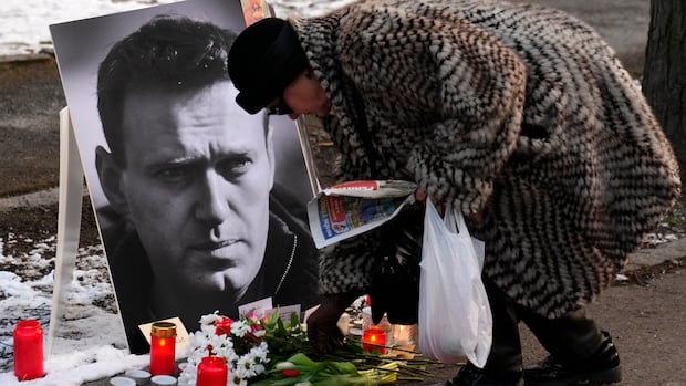 Alexei Navalny was poisoned by Kremlin with dart frog toxin, European nations say