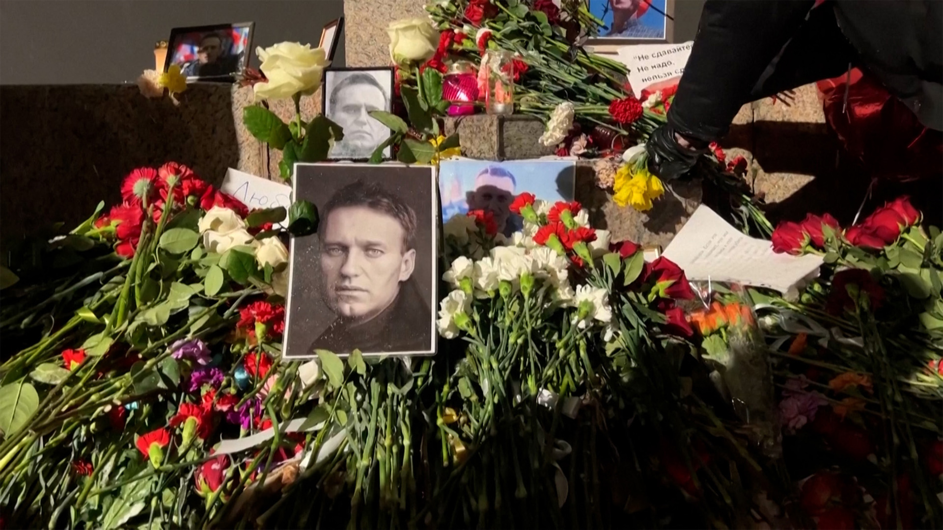 Europeans say Russia poisoned dissident Alexey Navalny with dart frog toxin