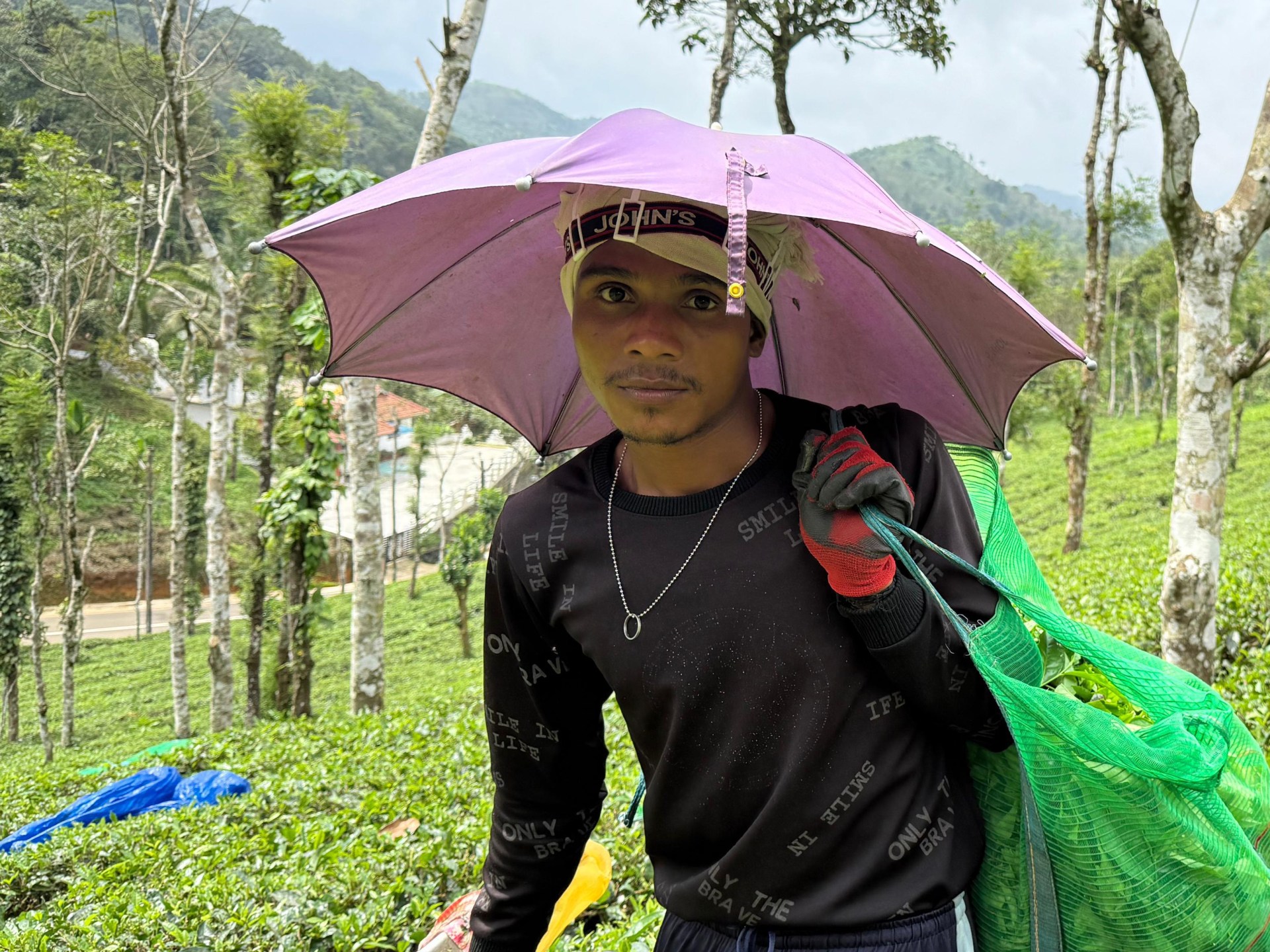 Driven by money, pushed by passion: Migrant tea pickers of Kerala, India