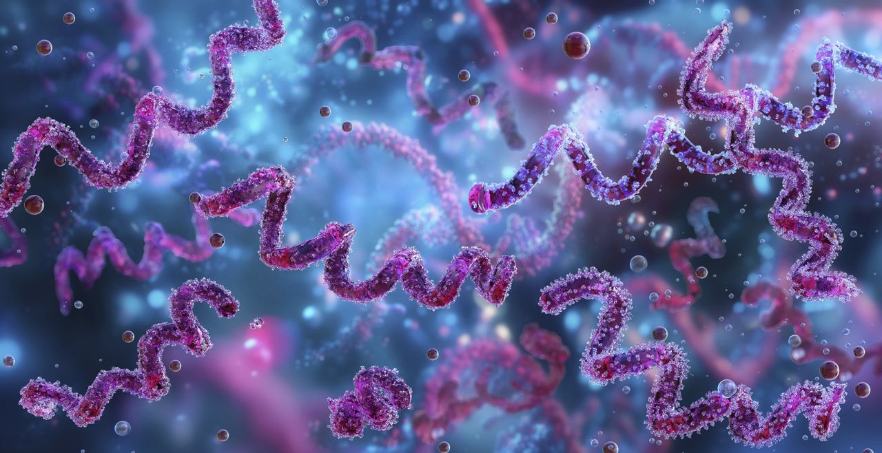 Diagnostic dilemma: 83-year-old man’s unusual form of syphilis had an ‘uncertain’ source