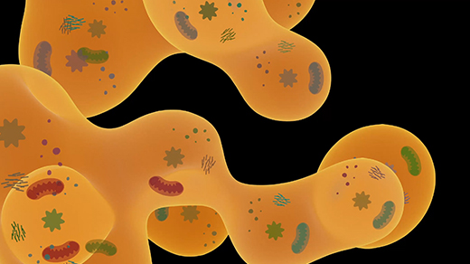 The Biophysical World Inside a Jam-Packed Cell