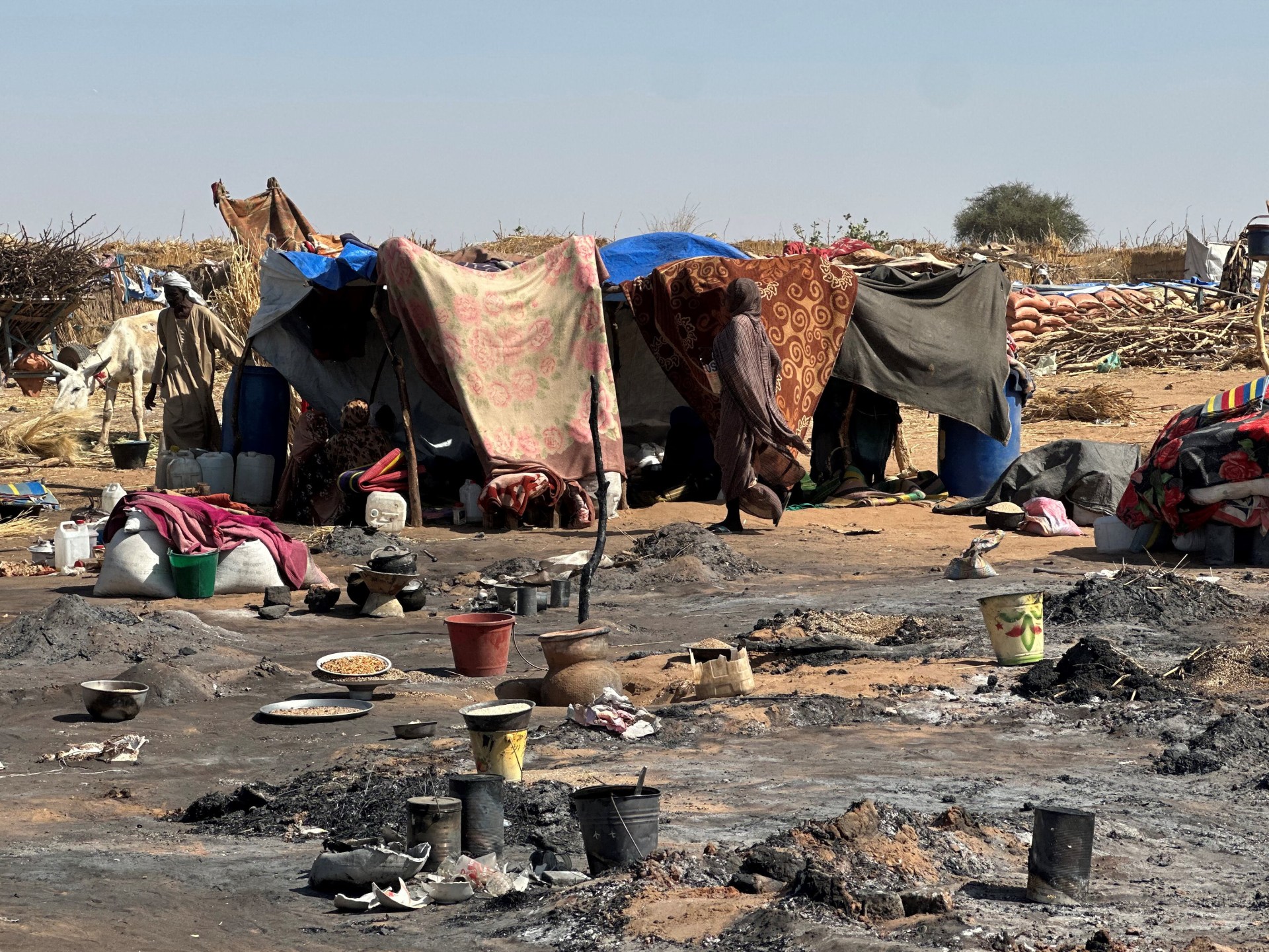 UN mission finds RSF destruction in el-Fasher bears ‘hallmarks of genocide’