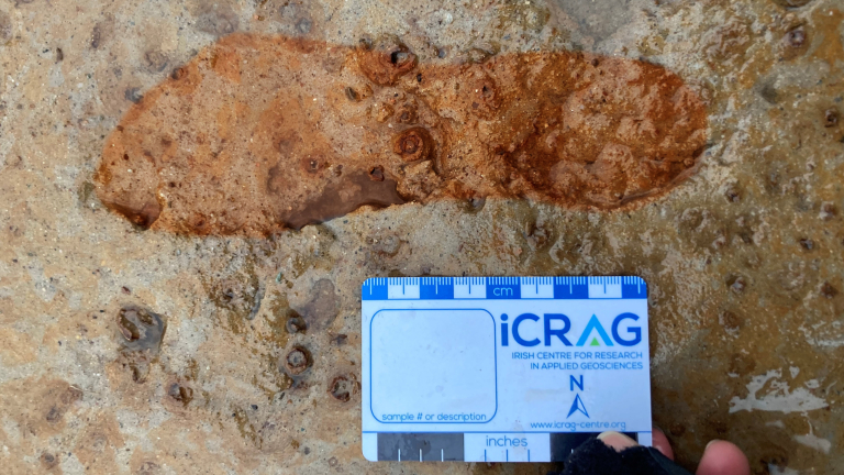 In a ‘race against time,’ archaeologists uncovered Roman-era footprints from a Scottish beach before the tide washed them away