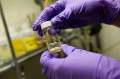 Single vaccine could protect against all coughs, colds and flus, researchers say