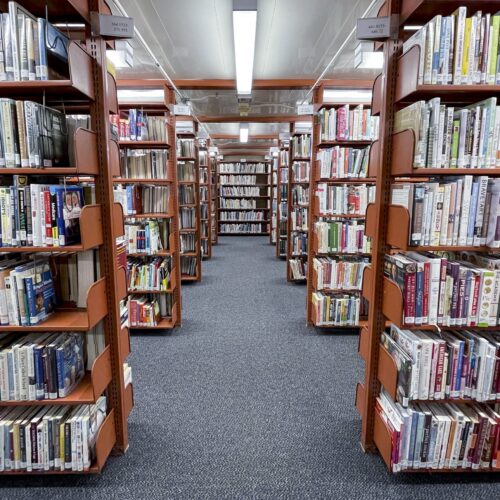 AIs can generate near-verbatim copies of novels from training data