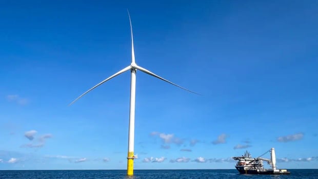 Where Trump sees big ‘ugly’ windmills, Canada sees opportunity