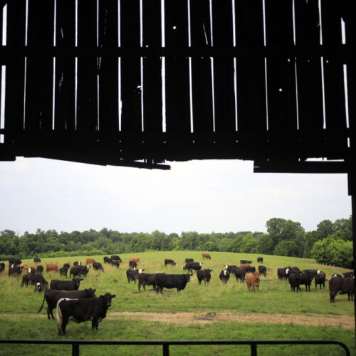 Data center builders thought farmers would willingly sell land, learn otherwise