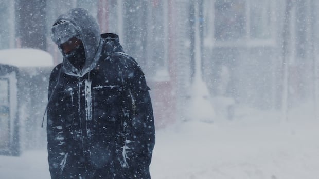 Travel bans, flight cancellations pile up as winter storm blasts U.S. northeast