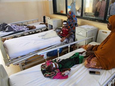 UN data shows 6.5 million people at risk of severe hunger from drought