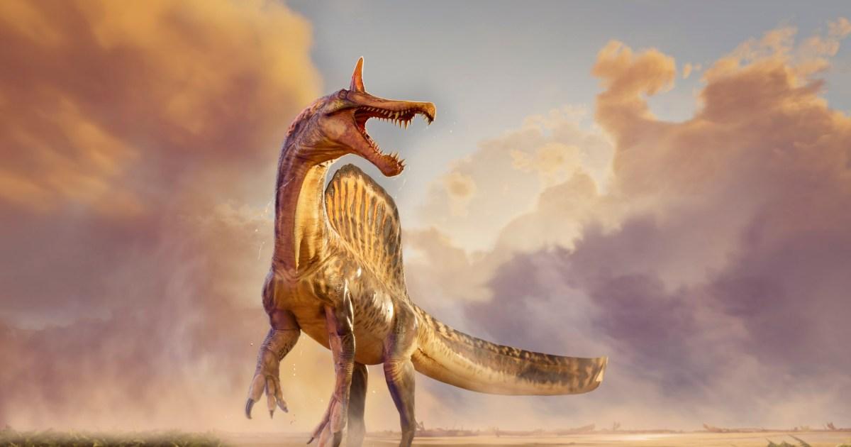 New dinosaur from 95,000,000 years ago may have been ‘first dragon’