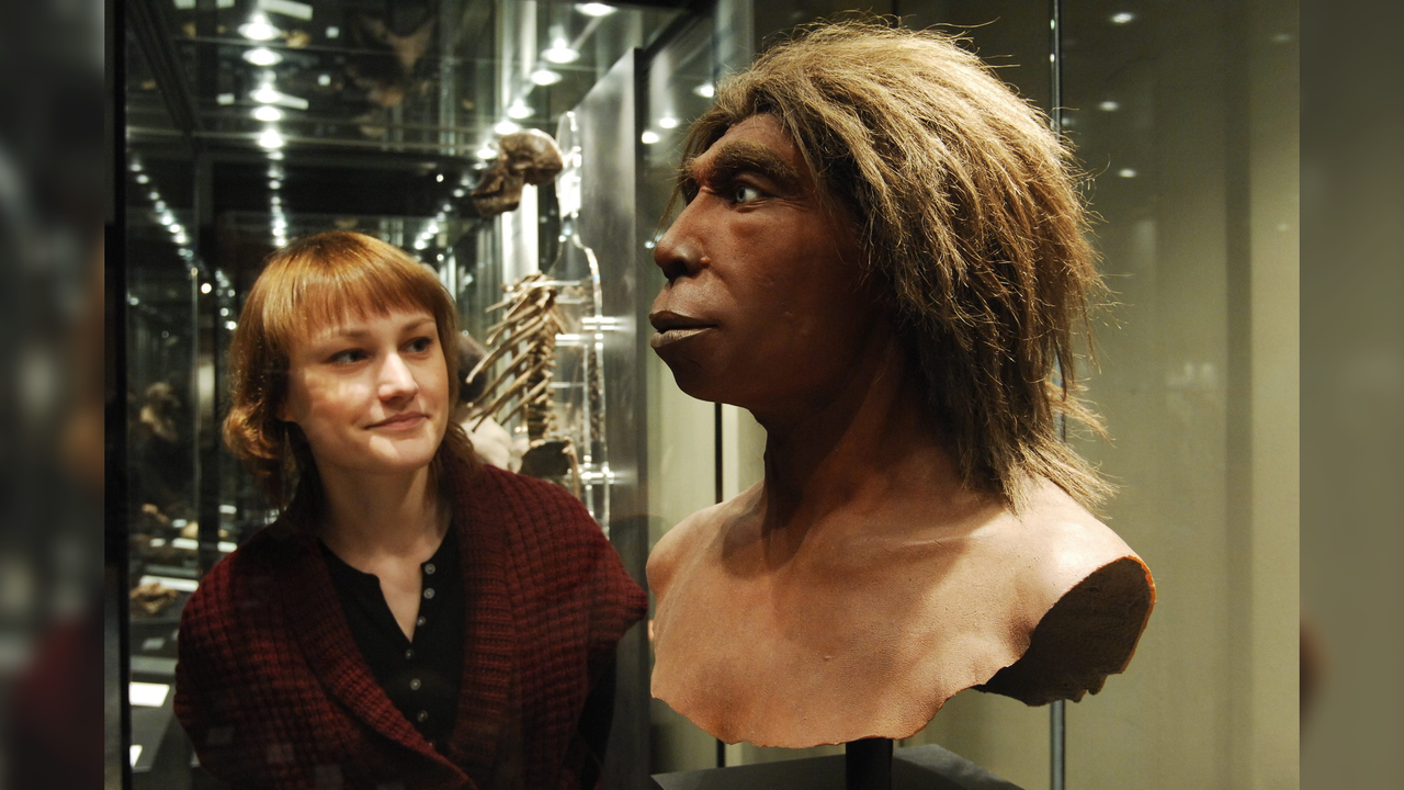 Humans and Neanderthals interbred — but it was mostly male Neanderthals and female humans who coupled up, study finds