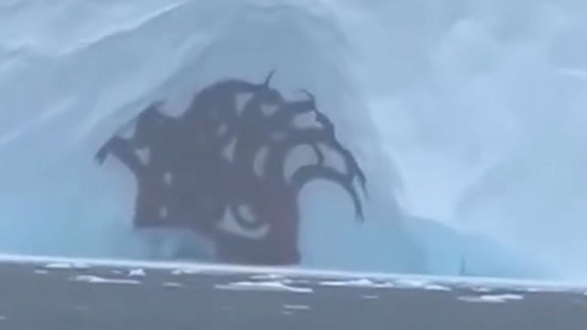 Does video show Hydra-like sea monster frozen in ice shelf? There’s nothing to fear