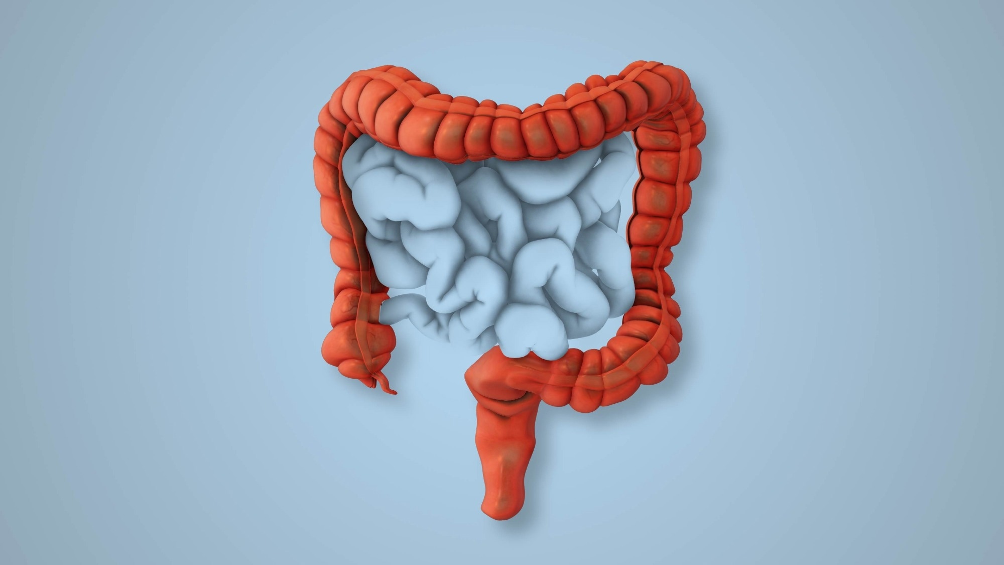 Experts identify safest and most effective diets for IBS management