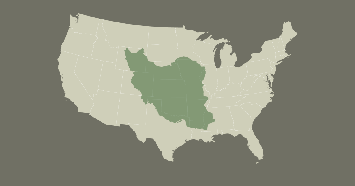 Map shows how big Iran is compared with the 50 US states