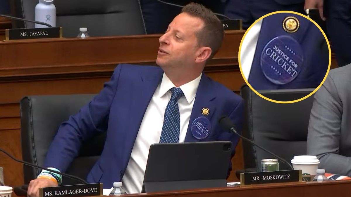 Rep. Jared Moskowitz wore ‘Justice for Cricket’ pin as he questioned Kristi Noem